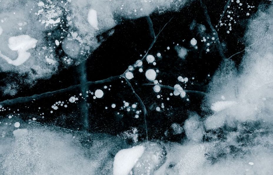 Photo of septic freeze diagnosis work