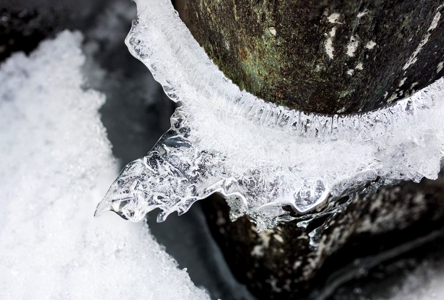 Septic Freeze Diagnosis in Elkhart